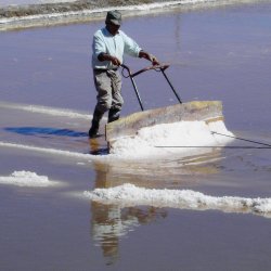 Salzgewinnung in Portugal